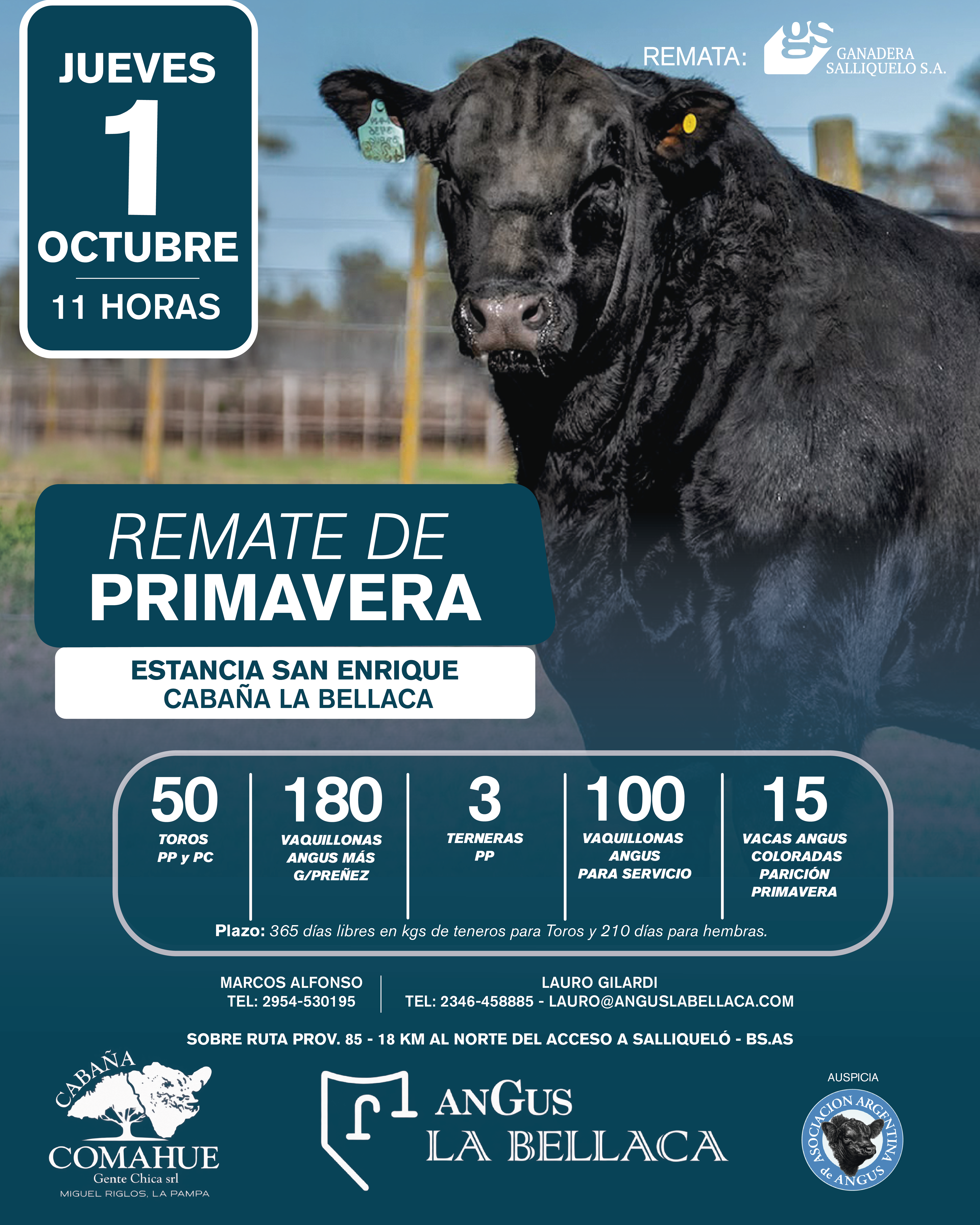 Flyer Remate Anual